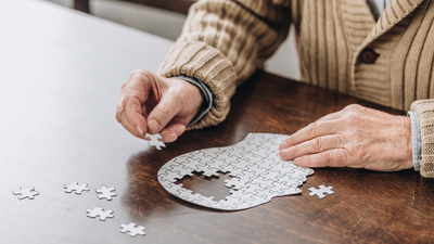 Are Puzzles Good for Your Brain?
