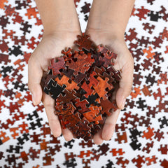 mars puzzle pieces