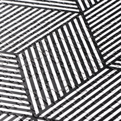 black and white optical illusion puzzle