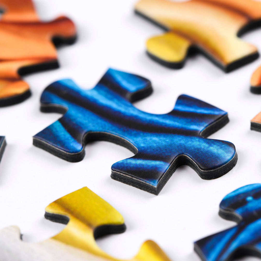 MERIDIAN Colorful Jigsaw Puzzle by Blue Kazoo
