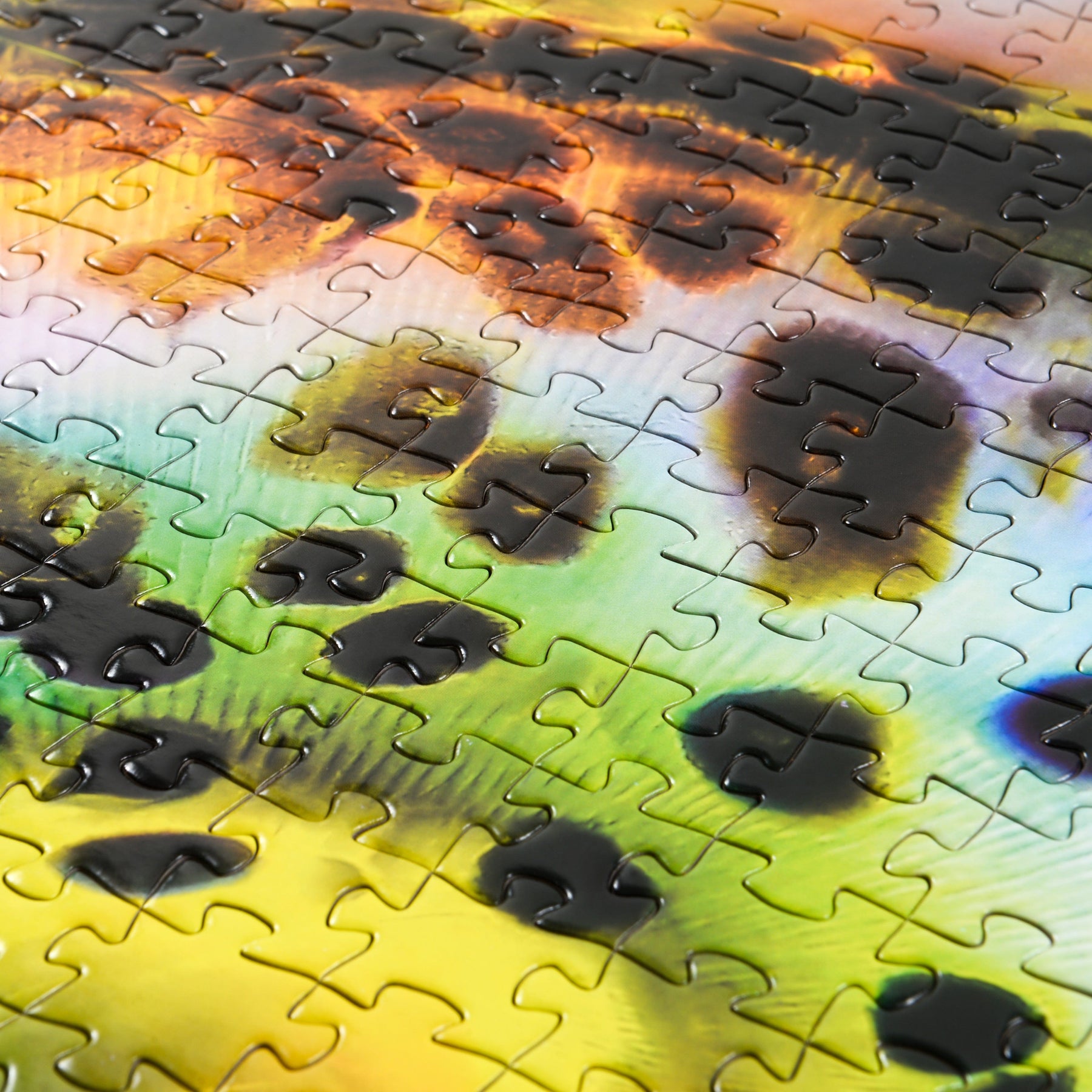 Microlife I Puzzle 1000 Piece Microlife Puzzle Blue Kazoo